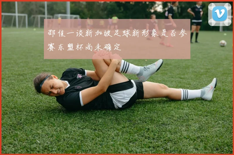 邵佳一谈新加坡足球新形象是否参赛东盟杯尚未确定