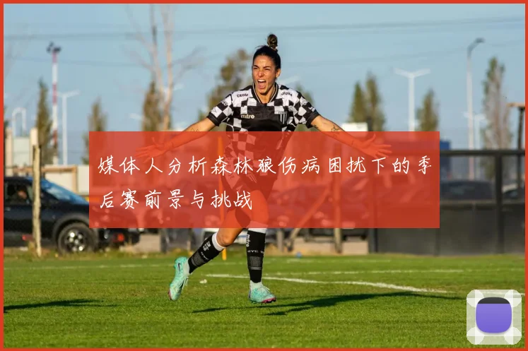 媒体人分析森林狼伤病困扰下的季后赛前景与挑战