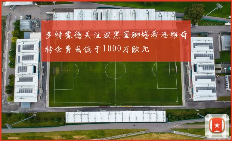 多特蒙德关注波黑国脚塔希洛维奇转会费或低于1000万欧元