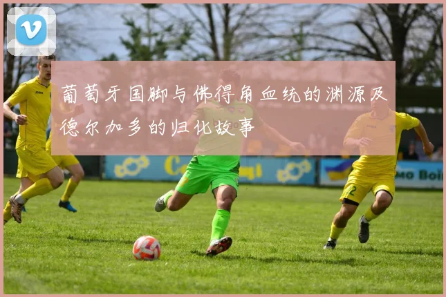 葡萄牙国脚与佛得角血统的渊源及德尔加多的归化故事