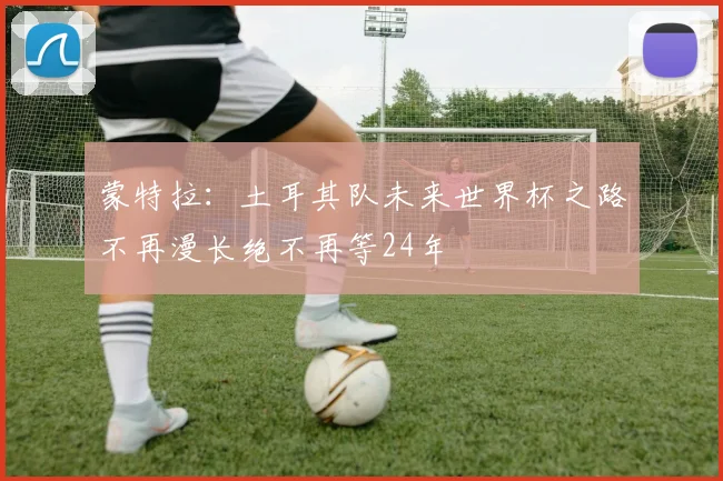 蒙特拉：土耳其队未来世界杯之路不再漫长绝不再等24年